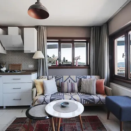 Appartement Breathtaking Bosphorus View With Large Terrace Istambul